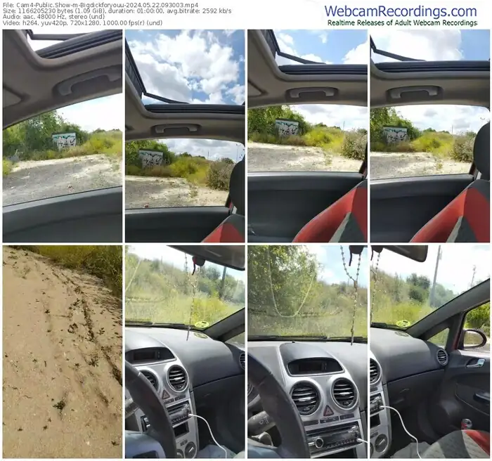 2024/05/22/cam4-bigdickforyouu-09-30-03