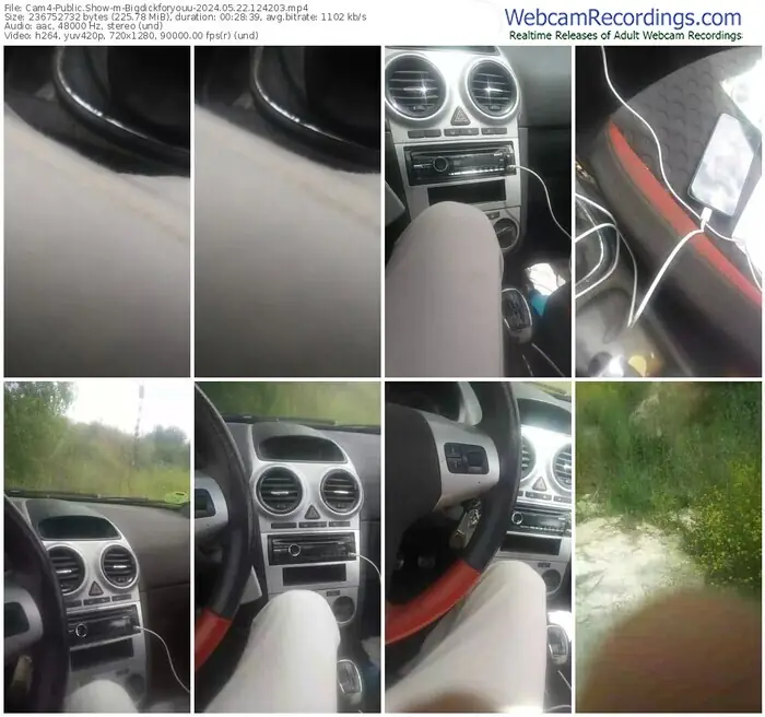 2024/05/22/cam4-bigdickforyouu-12-42-03