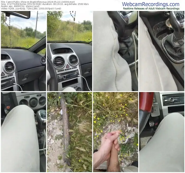2024/05/22/cam4-bigdickforyouu-13-43-06