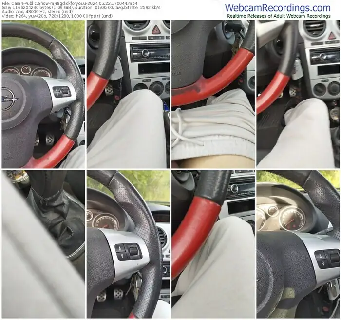 2024/05/22/cam4-bigdickforyouu-17-00-44