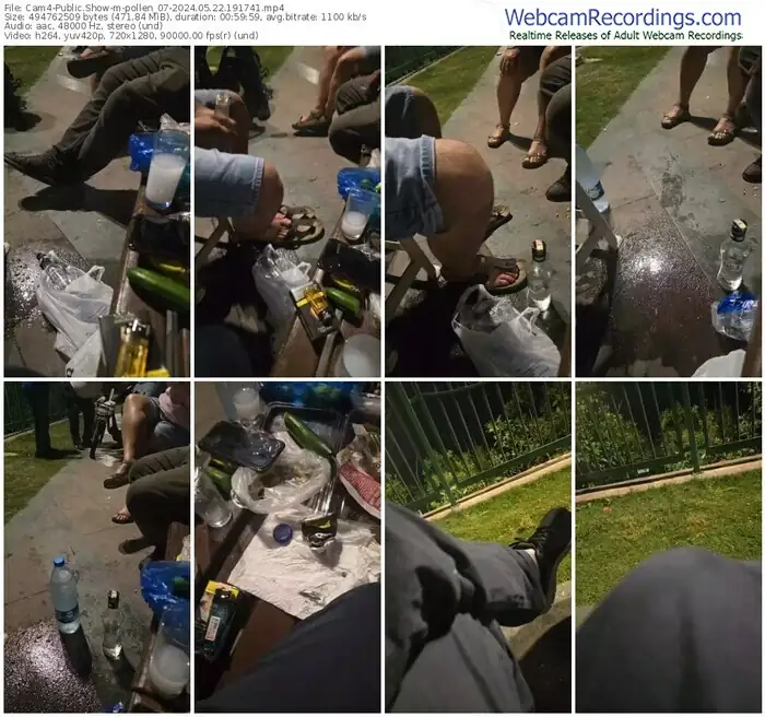 2024/05/22/cam4-pollen_07-19-17-41