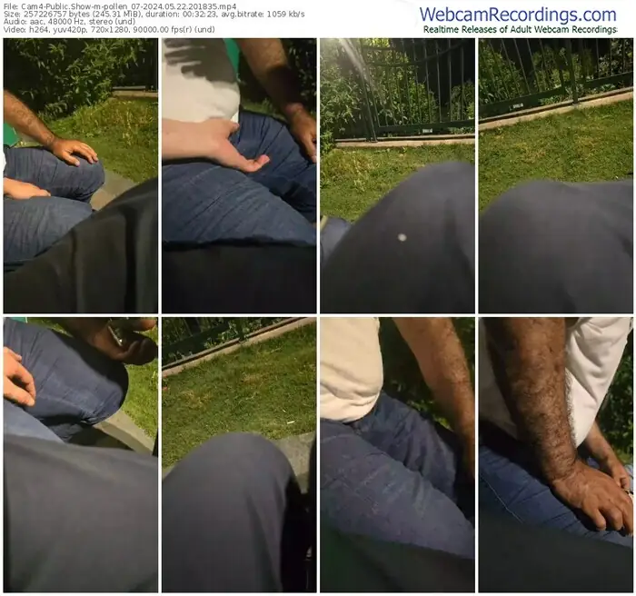 2024/05/22/cam4-pollen_07-20-18-35