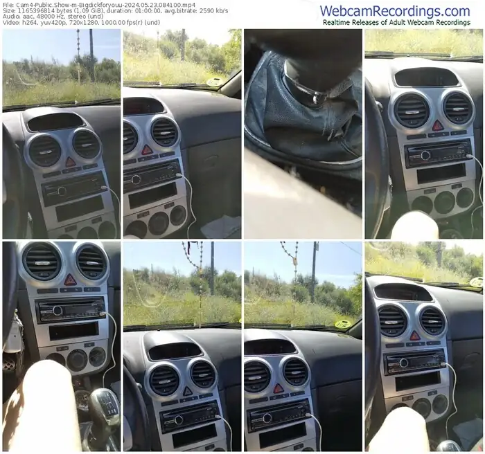 2024/05/23/cam4-bigdickforyouu-08-41-00