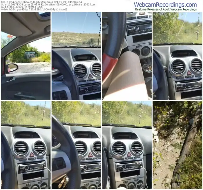 2024/05/23/cam4-bigdickforyouu-10-49-08