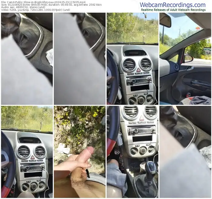 2024/05/23/cam4-bigdickforyouu-11-50-35