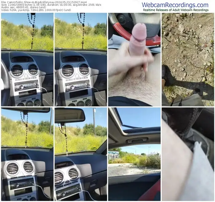 2024/05/23/cam4-bigdickforyouu-15-29-27