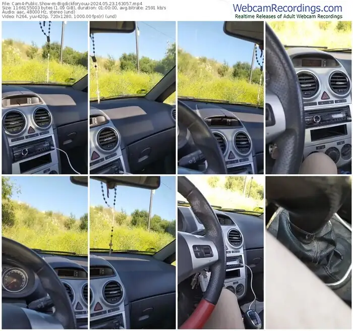 2024/05/23/cam4-bigdickforyouu-16-30-57