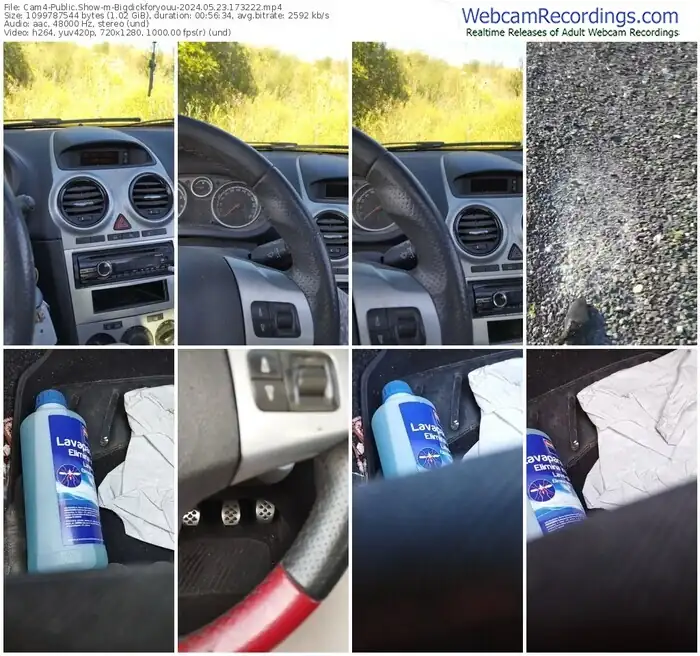 2024/05/23/cam4-bigdickforyouu-17-32-22