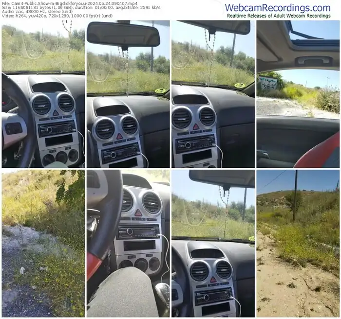2024/05/24/cam4-bigdickforyouu-09-04-07