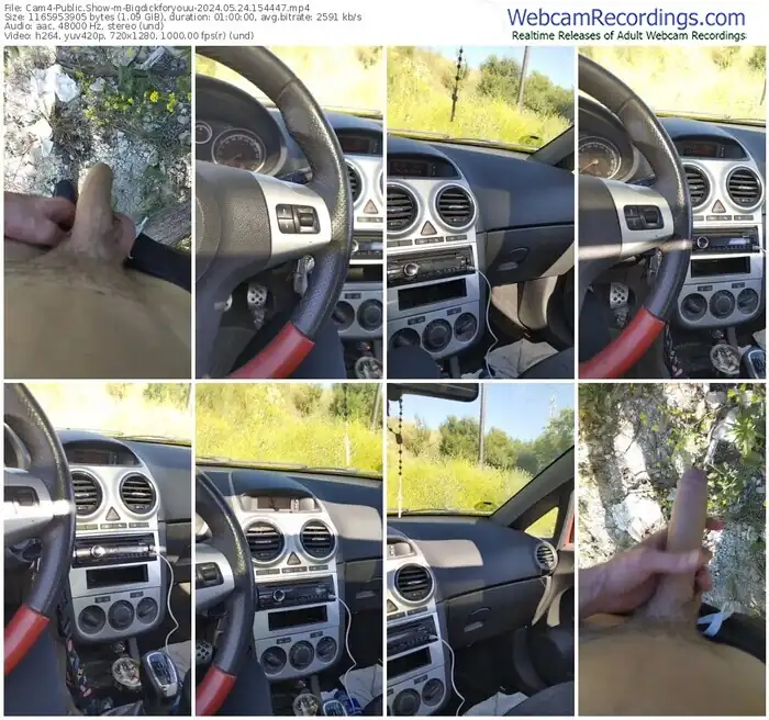 2024/05/24/cam4-bigdickforyouu-15-44-47