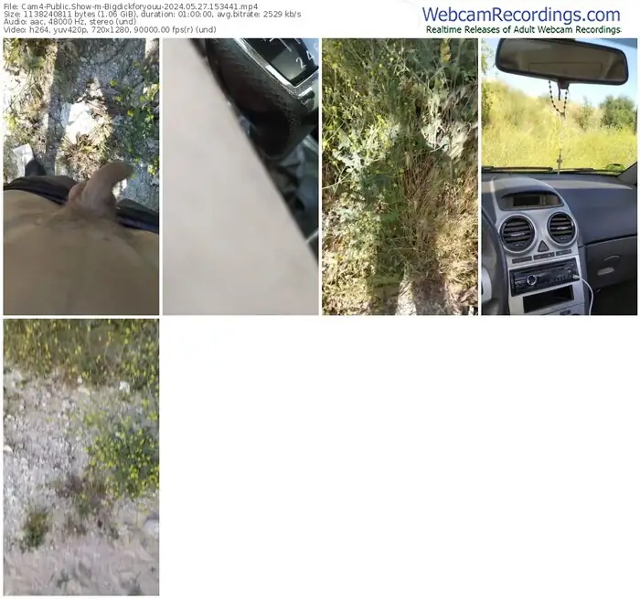 2024/05/27/cam4-bigdickforyouu-15-34-41