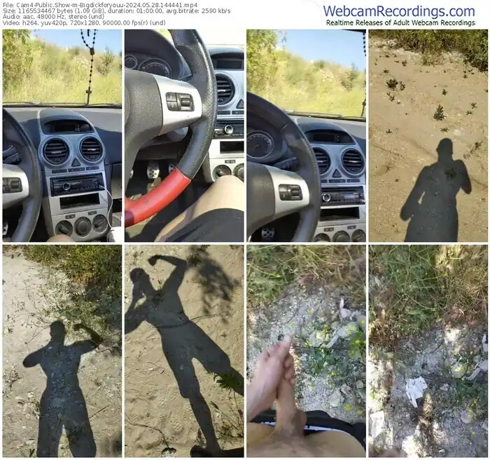 2024/05/28/cam4-bigdickforyouu-14-44-41