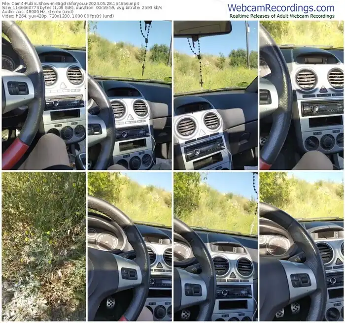 2024/05/28/cam4-bigdickforyouu-15-46-56