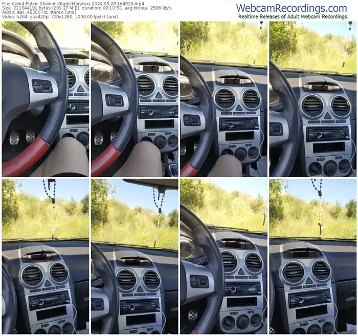 2024/05/28/cam4-bigdickforyouu-16-49-29
