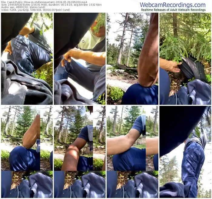 2024/05/29/cam4-stefanoeverlan1-09-52-00