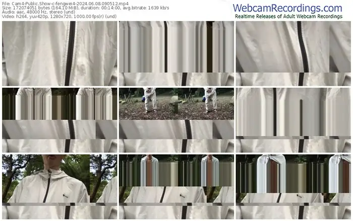 2024/06/08/cam4-fengwei4-09-05-12