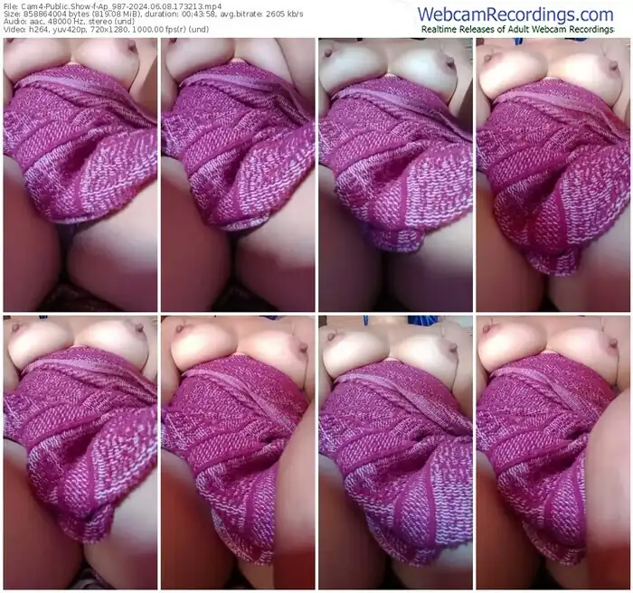 2024/06/08/cam4-ap_987-17-32-13