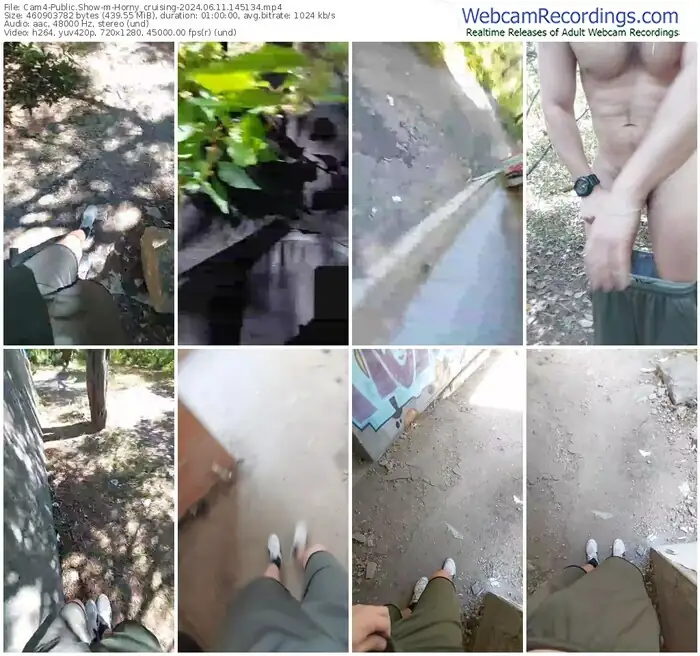 2024/06/11/cam4-horny_cruising-14-51-34