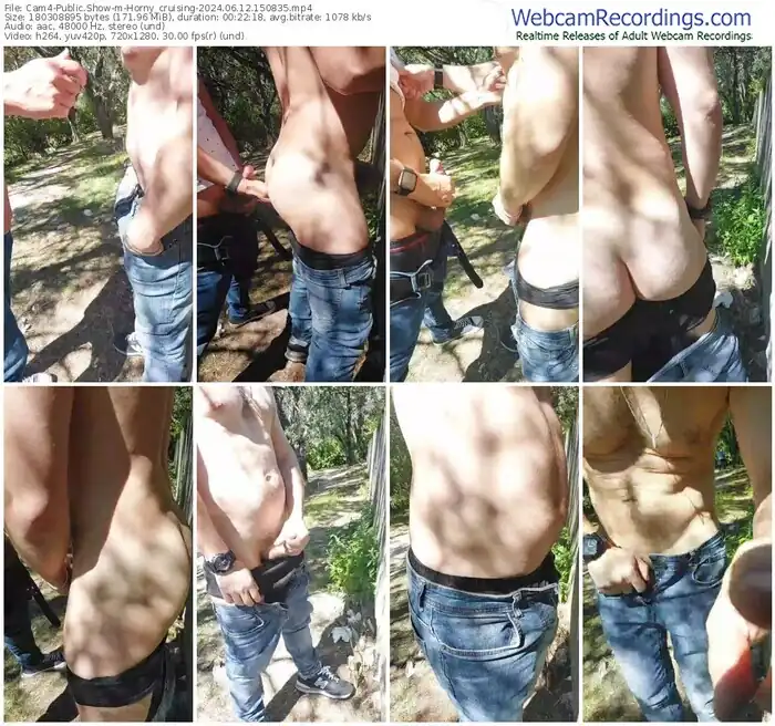 2024/06/12/cam4-horny_cruising-15-08-35