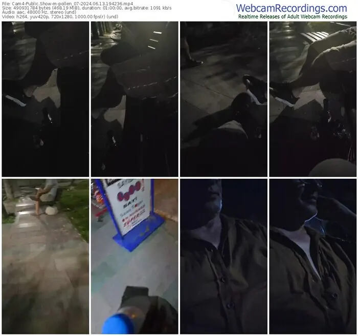 2024/06/13/cam4-pollen_07-19-42-36