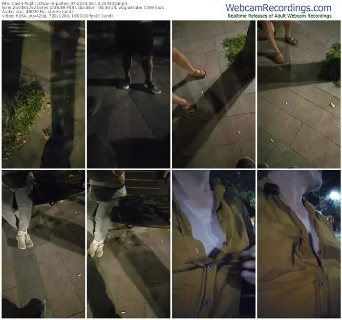 2024/06/13/cam4-pollen_07-20-44-42