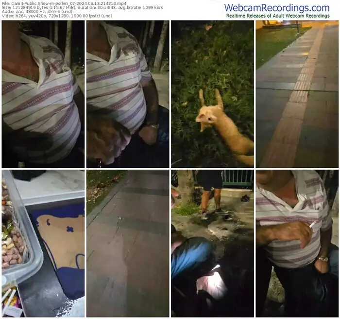 2024/06/13/cam4-pollen_07-21-42-10