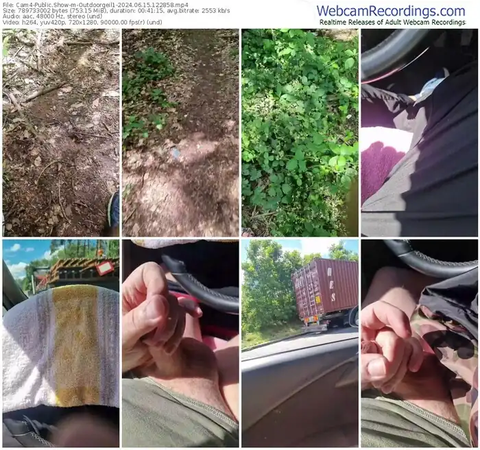 2024/06/15/cam4-outdoorgeil1-12-28-58