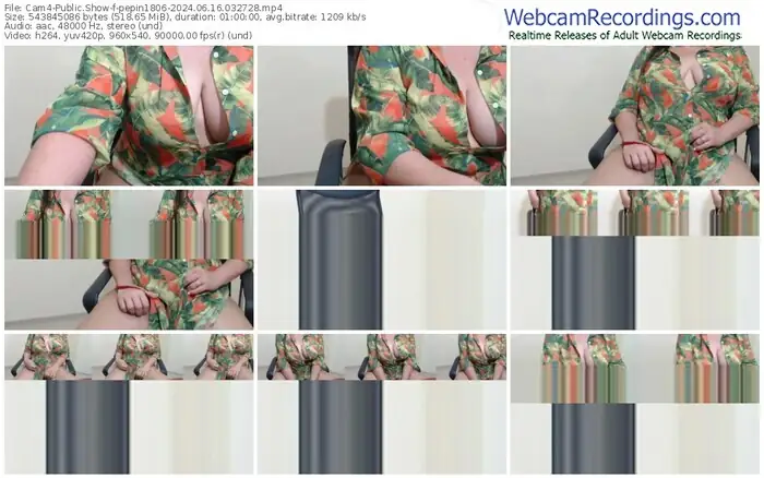 2024/06/16/cam4-pepin1806-03-27-28