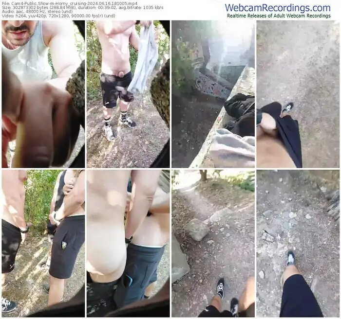 2024/06/16/cam4-horny_cruising-18-10-05