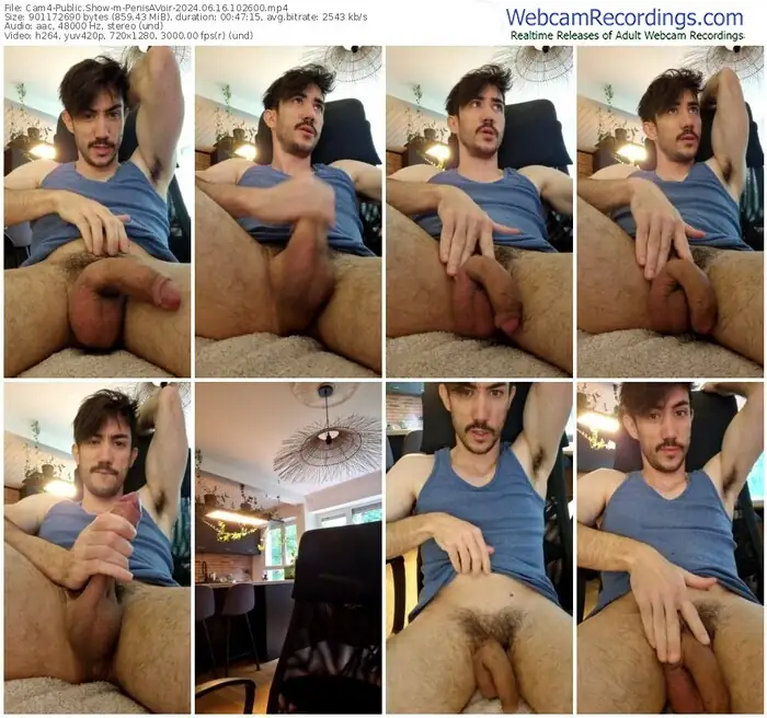 2024/06/16/cam4-penisavoir-10-26-00