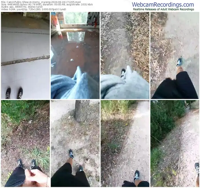 2024/06/18/cam4-horny_cruising-17-12-05