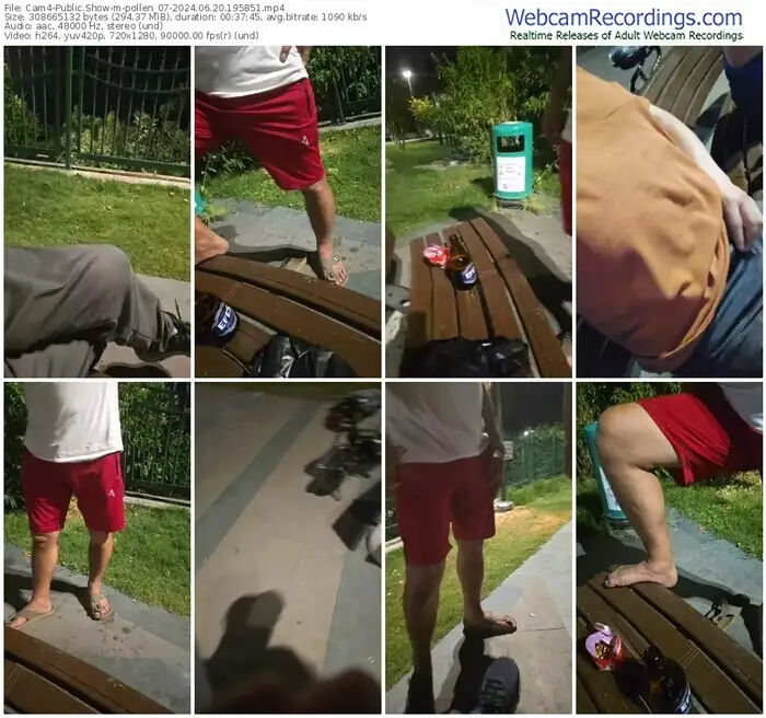 2024/06/20/cam4-pollen_07-19-58-51