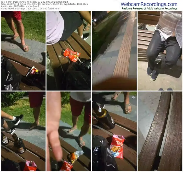 2024/06/20/cam4-pollen_07-20-38-16