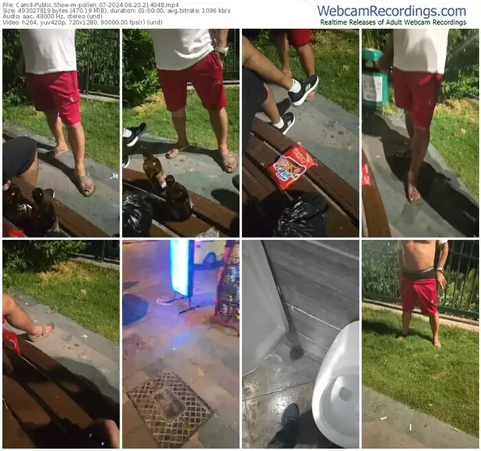 2024/06/20/cam4-pollen_07-21-40-48