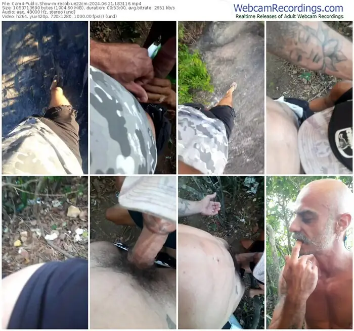 2024/06/21/cam4-recoblue22cm-18-31-16