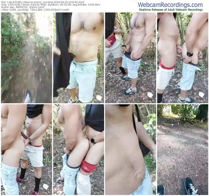 2024/06/23/cam4-horny_cruising-16-10-41