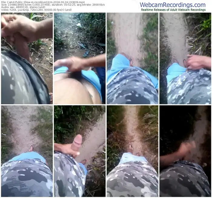 2024/06/24/cam4-recoblue22cm-19-38-39