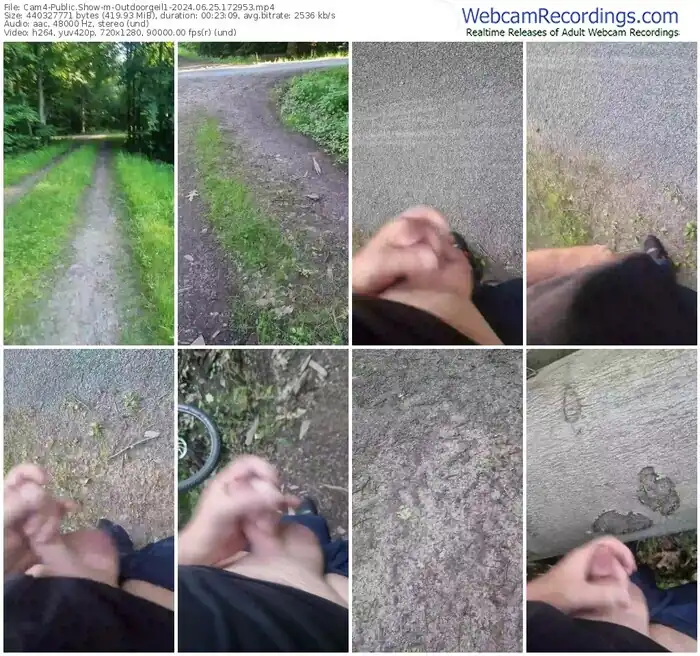 2024/06/25/cam4-outdoorgeil1-17-29-53