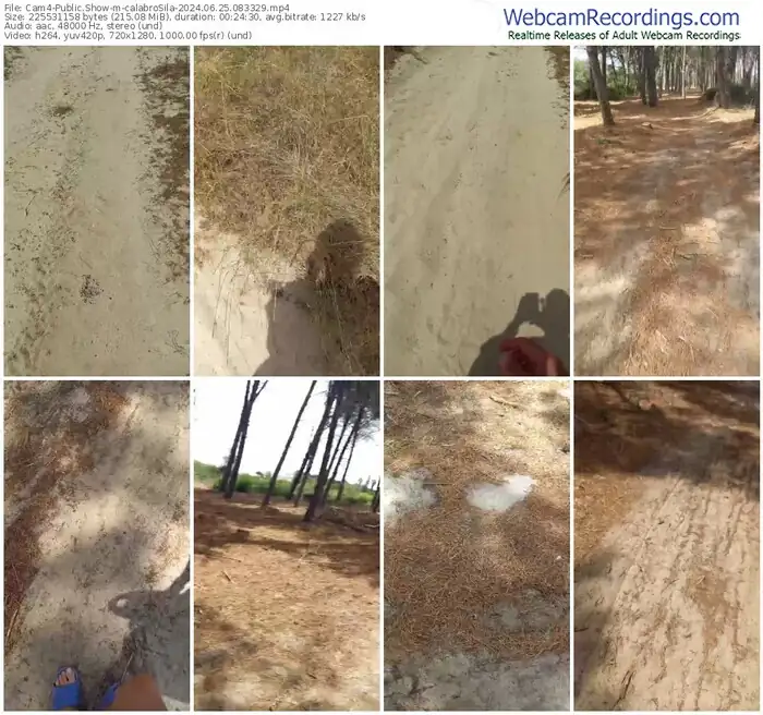 2024/06/25/cam4-calabrosila-08-33-29