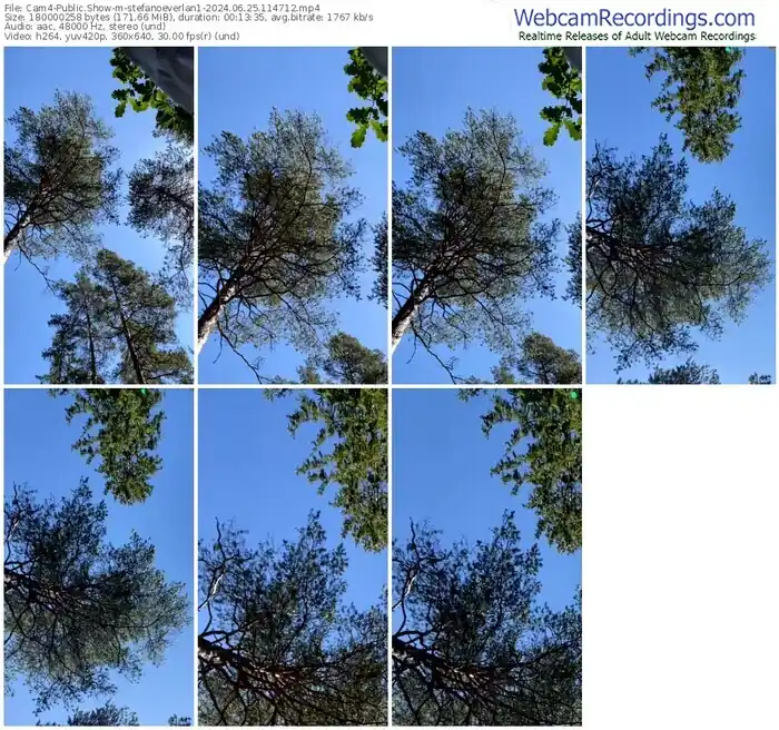 2024/06/25/cam4-stefanoeverlan1-11-47-12