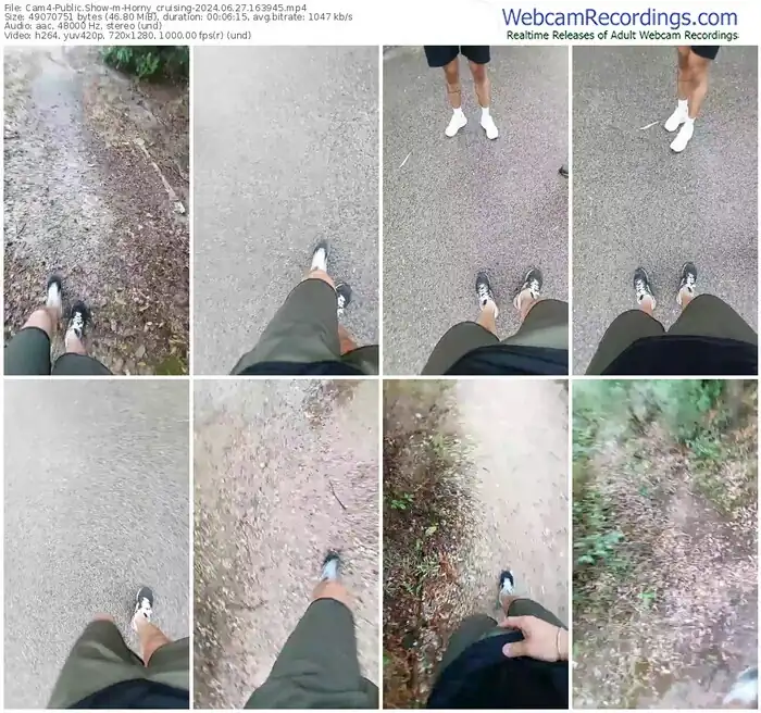 2024/06/27/cam4-horny_cruising-16-39-45