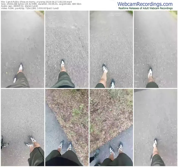 2024/06/27/cam4-horny_cruising-18-12-30