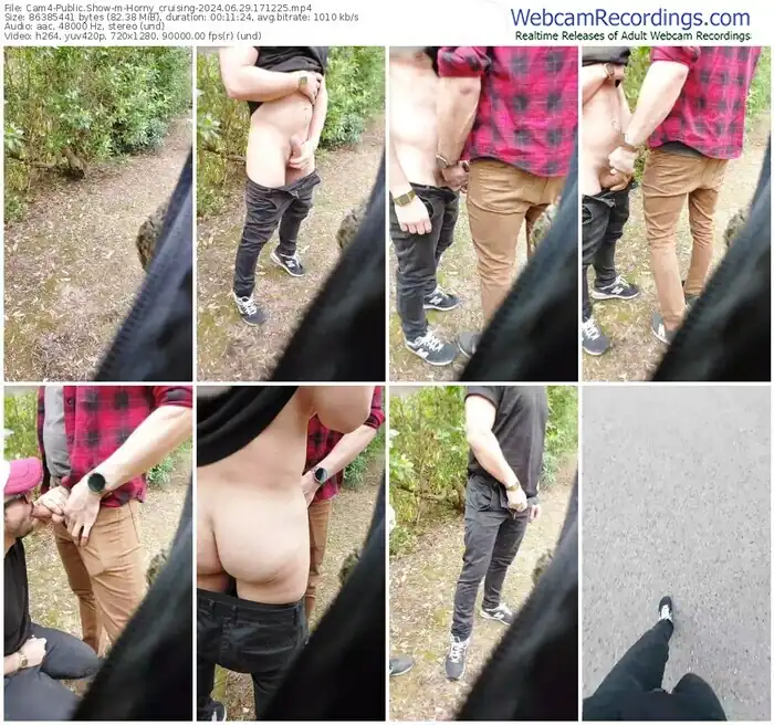 2024/06/29/cam4-horny_cruising-17-12-25