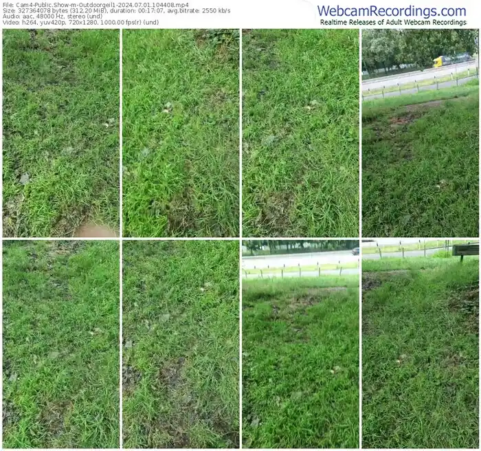 2024/07/01/cam4-outdoorgeil1-10-44-08