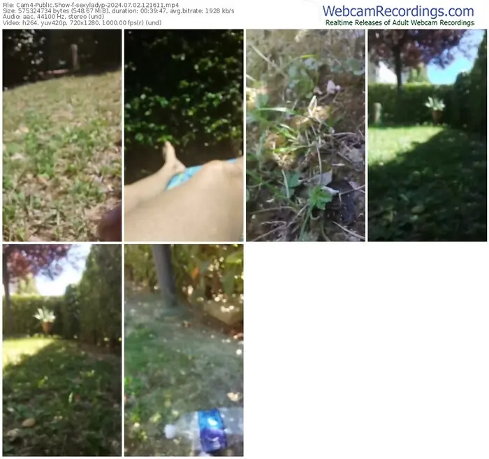2024/07/02/cam4-sexyladyp-12-16-11