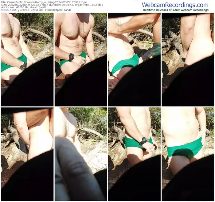 2024/07/03/cam4-horny_cruising-17-09-31