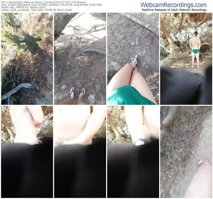 2024/07/03/cam4-horny_cruising-17-47-38