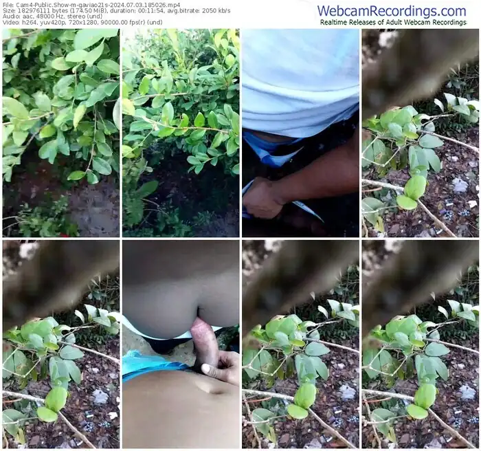 2024/07/03/cam4-gaviao21s-18-50-26