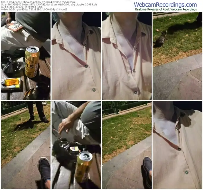 2024/07/05/cam4-pollen_07-18-50-47