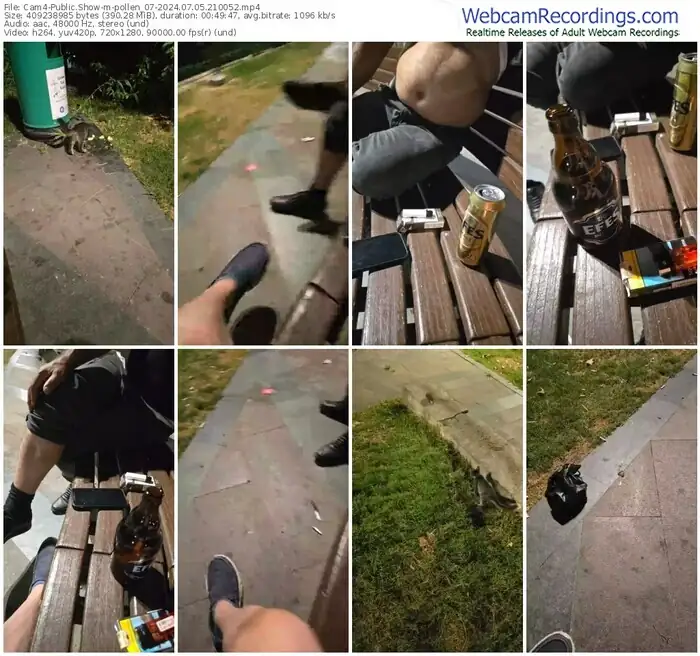 2024/07/05/cam4-pollen_07-21-00-52